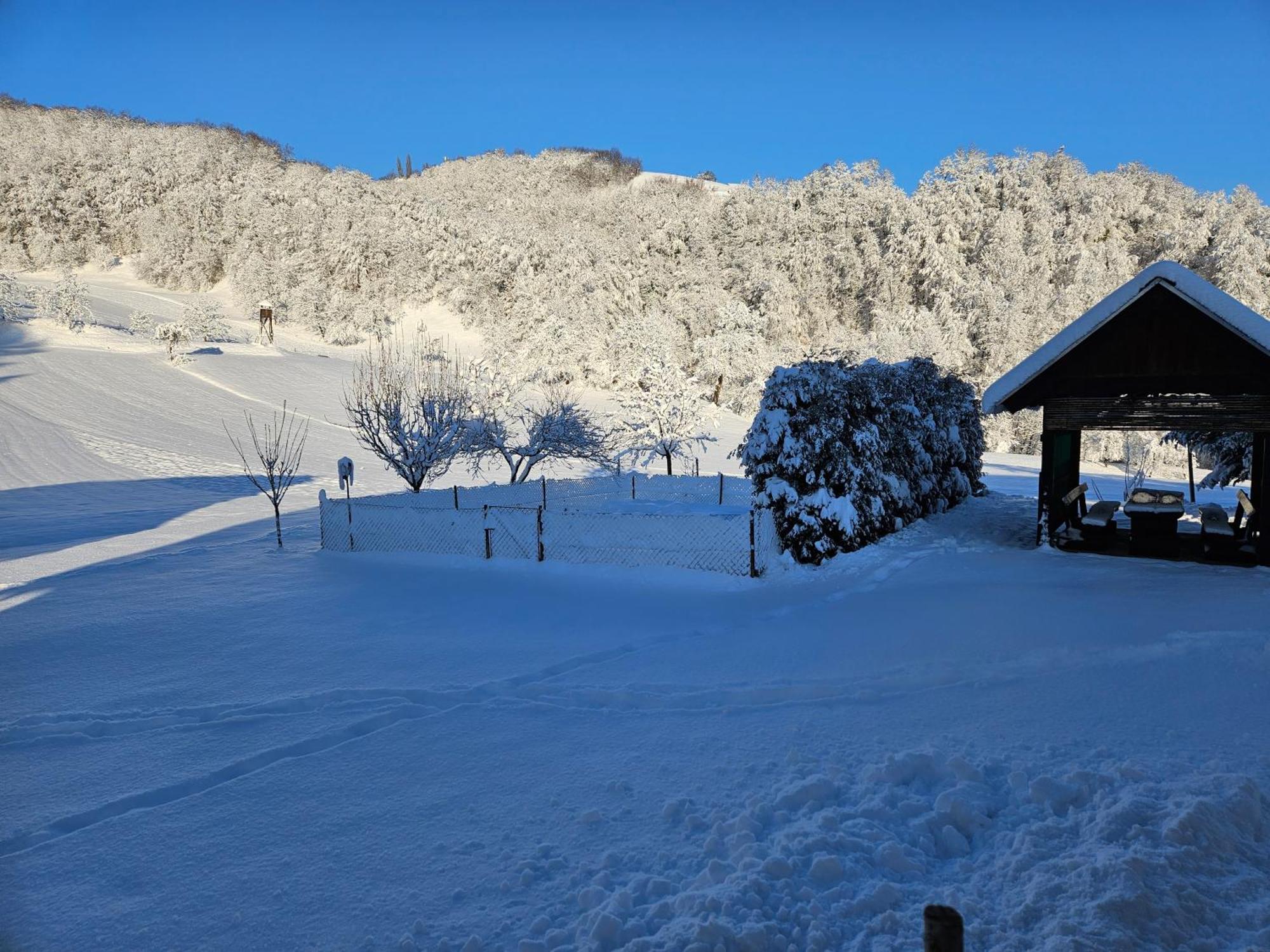 Francek House Podcetrtek Villa Buce Eksteriør billede